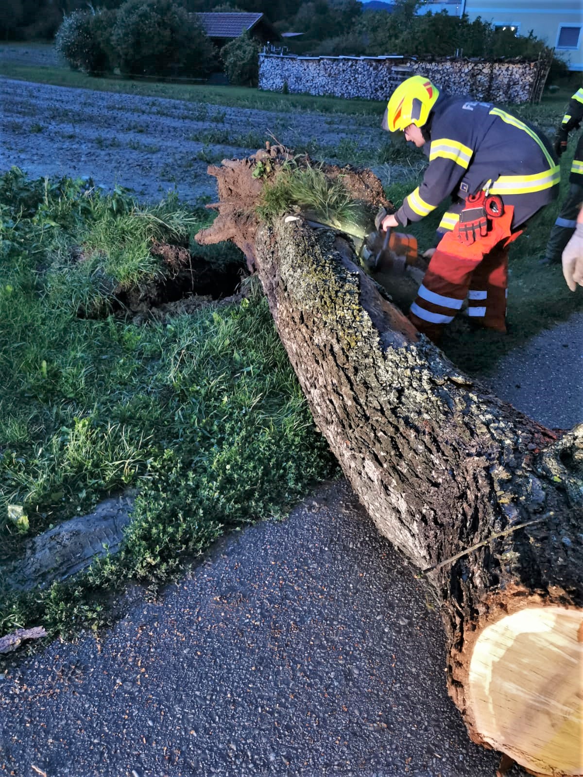 2021 08 07 Baum Eckmayr (8)