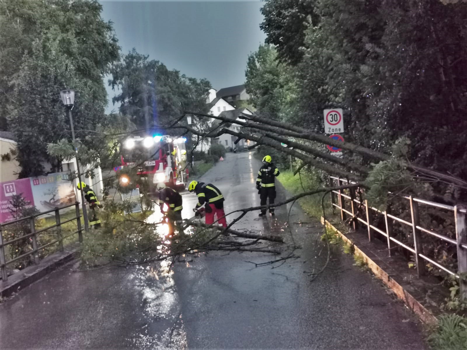 2021 08 07 Baum Leumühle (2)