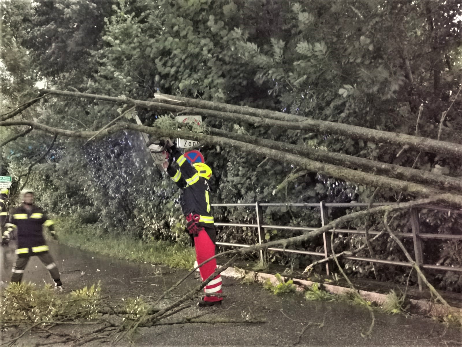 2021 08 07 Baum Leumühle (3)