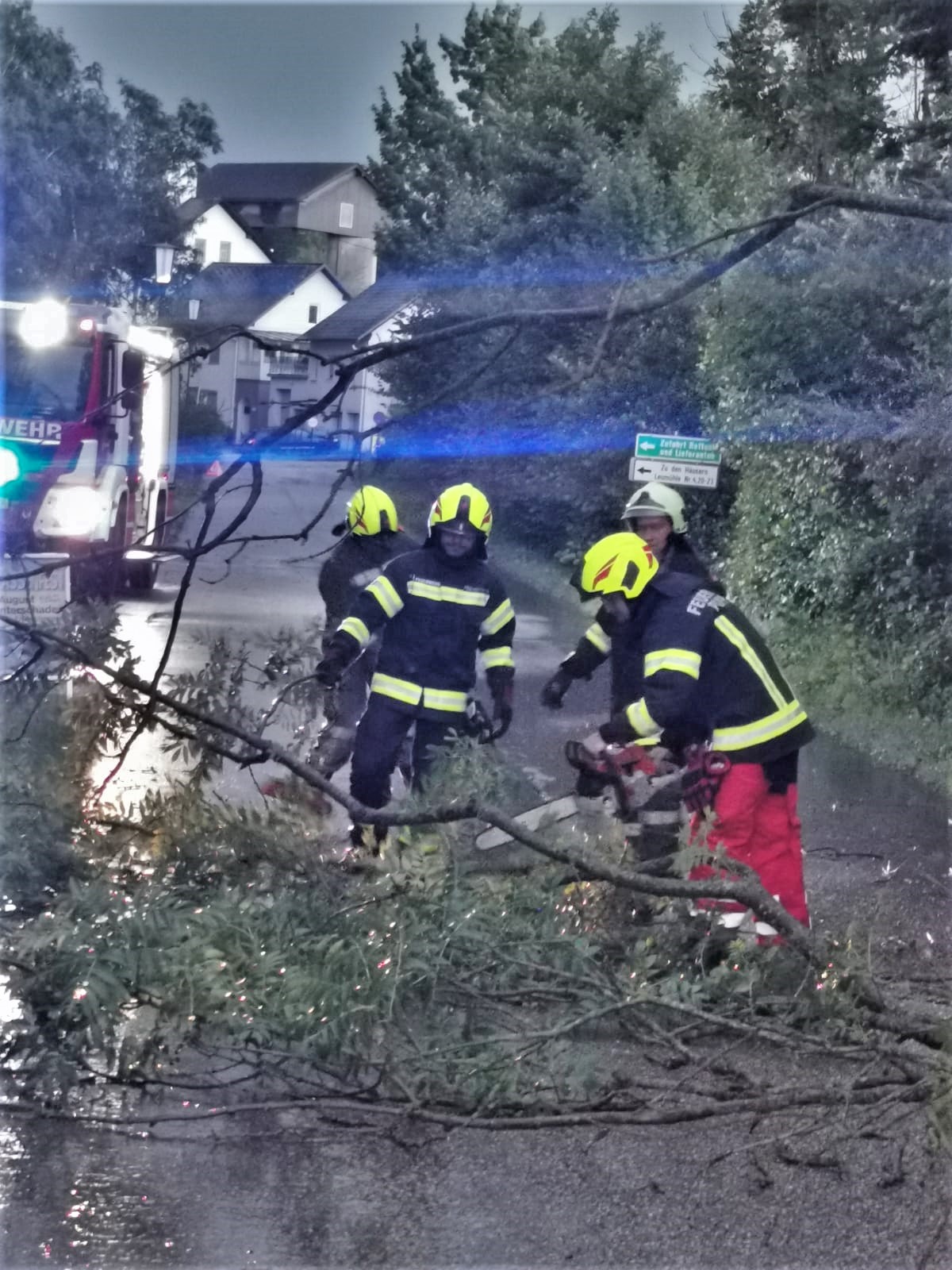 2021 08 07 Baum Leumühle (4)