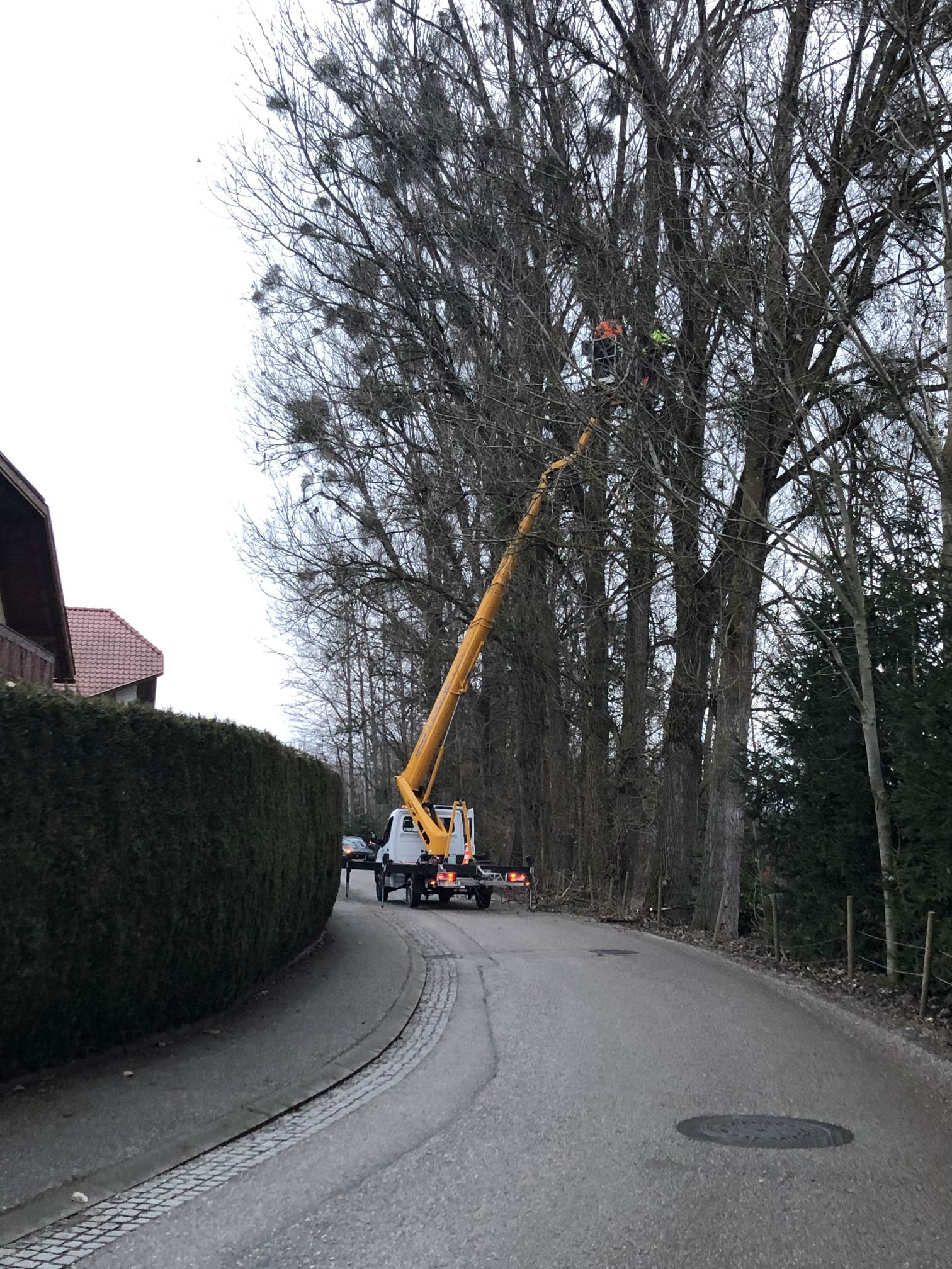 2021 12 17 Holzschlägerung (5)