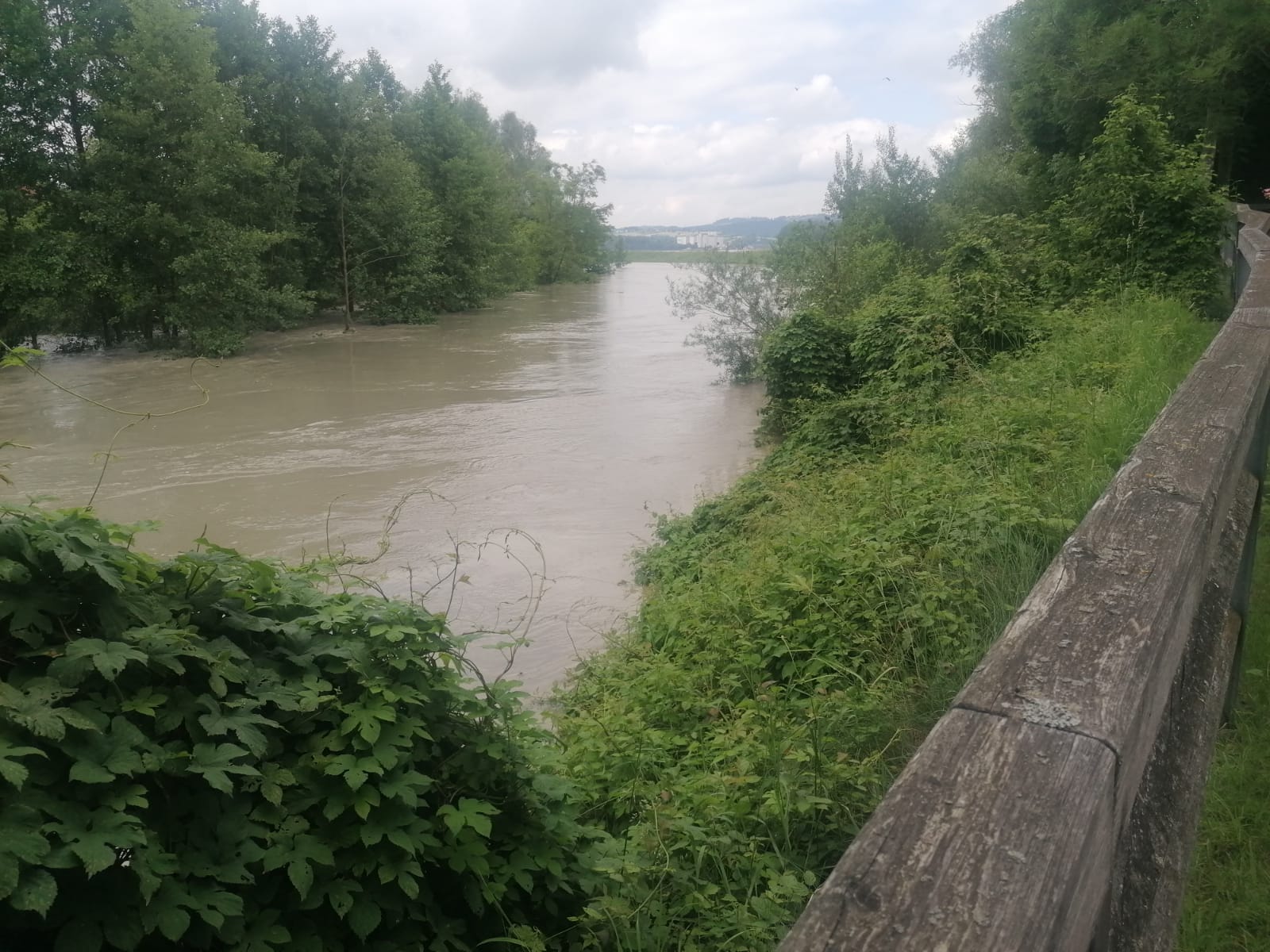 2024 06 05 Hochwasser (6)